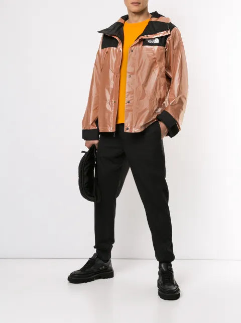 Supreme x The North Face metallic mountain jacket